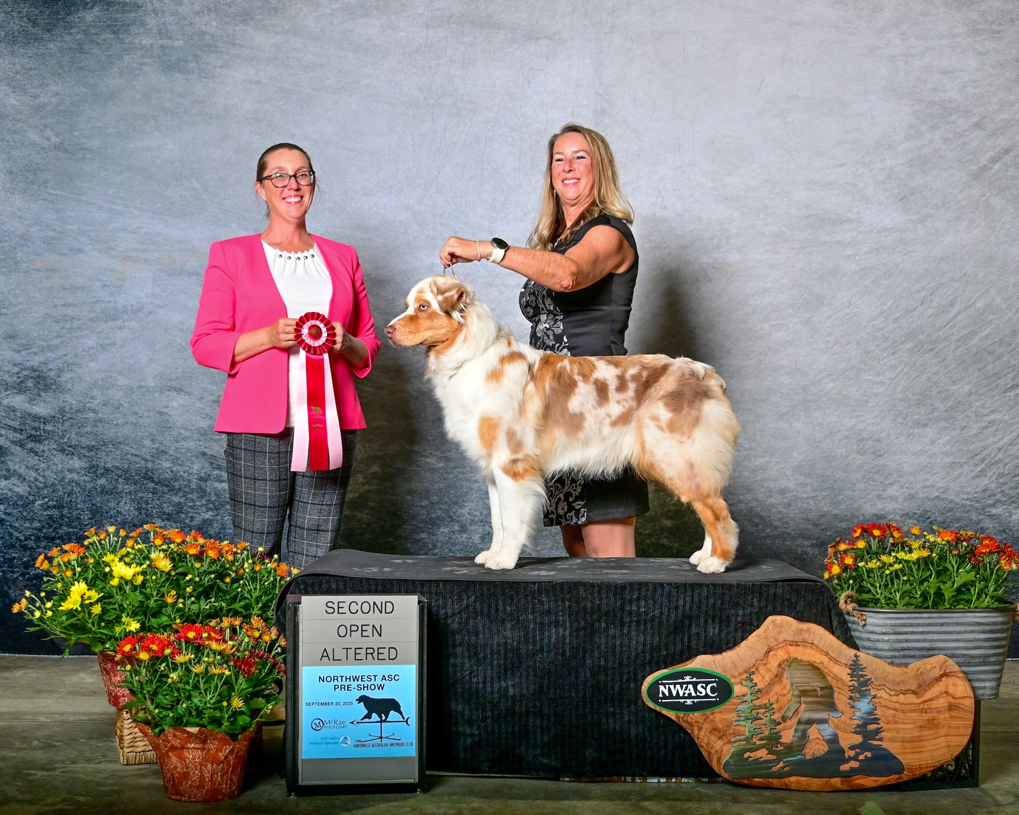 Wiki | Black Tri Male | Available for Stud — Red Forrest